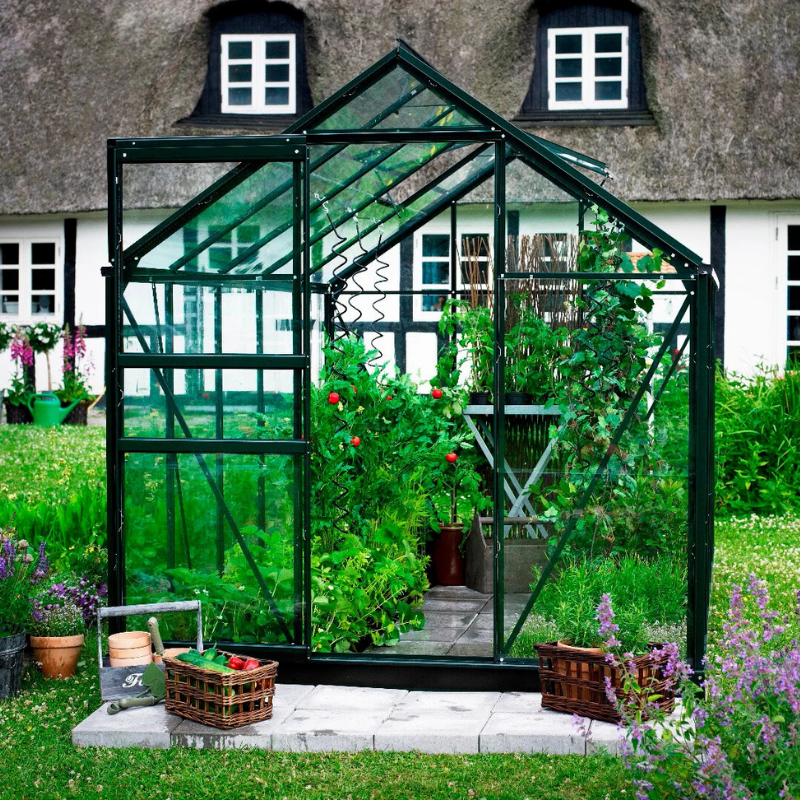 Halls Popular drivhus 6,2 m² - 3 mm glas - Grøn