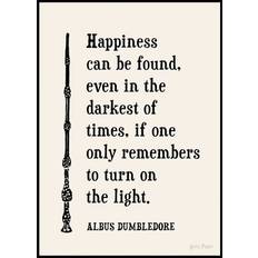 Harry Potter™ - Happiness Can Be Found Poster (30x40 cm) - Poster Store