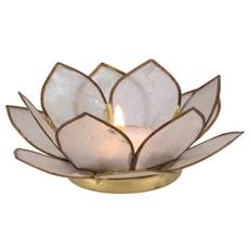 Lotus Lysestage - Creme