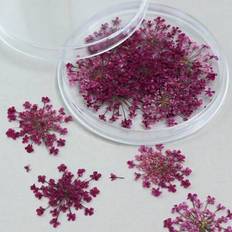 10 blommor/ask torkade blommor fyllmedel - färgglada epoxihartsformtillbehör för DIY smyckestillverkning, hantverksdekorprojekt, hantverkstillbehör | - Skrikrosa