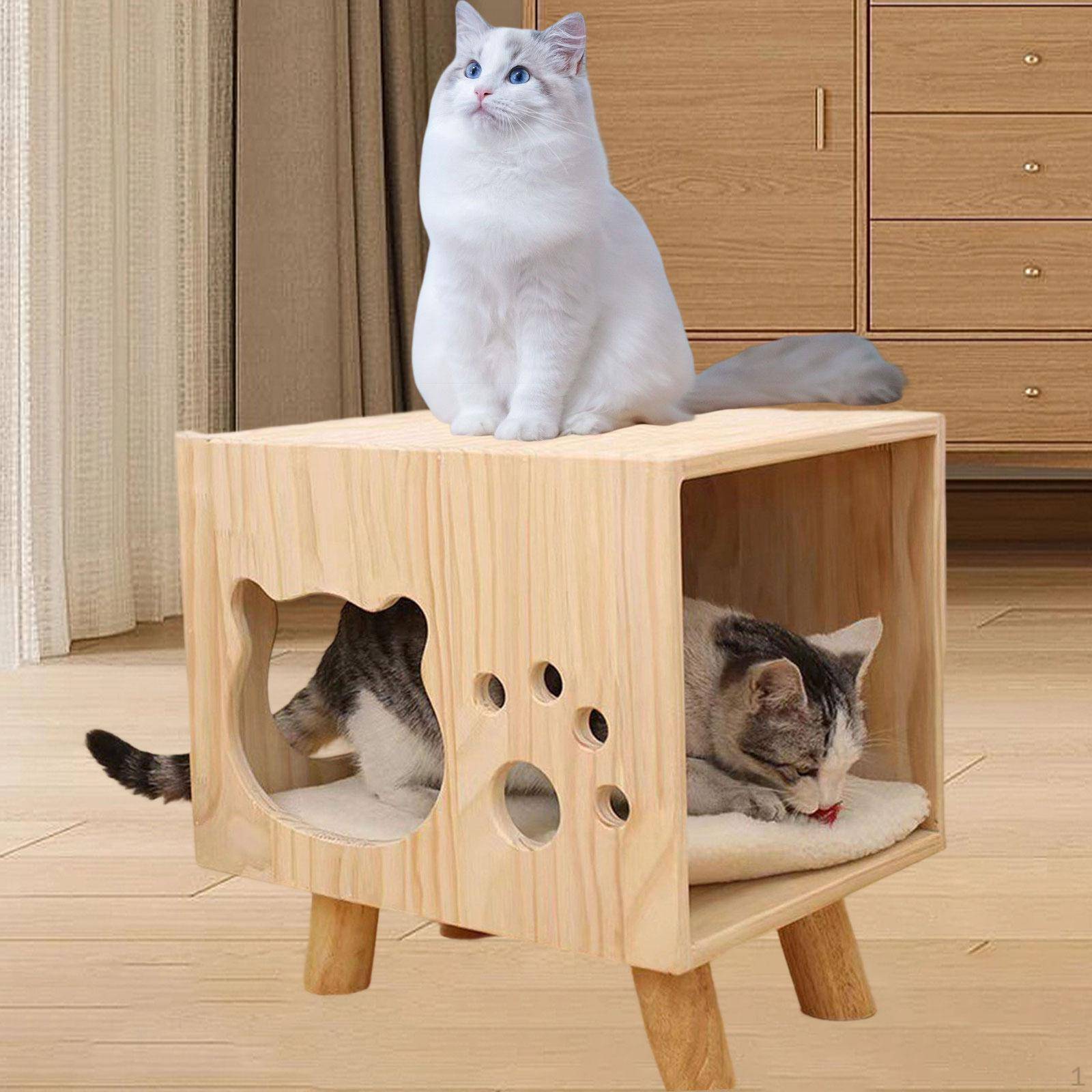 Upphöjt Katthus Lägenhet Gömställe Träning och Lek Gömställe Grotta för Kattunge Husdjursleksak Hall