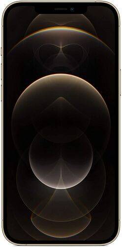 iPhone 12 Pro Max | 256 GB | Dual-SIM (eSIM, Nano-SIM) | guld