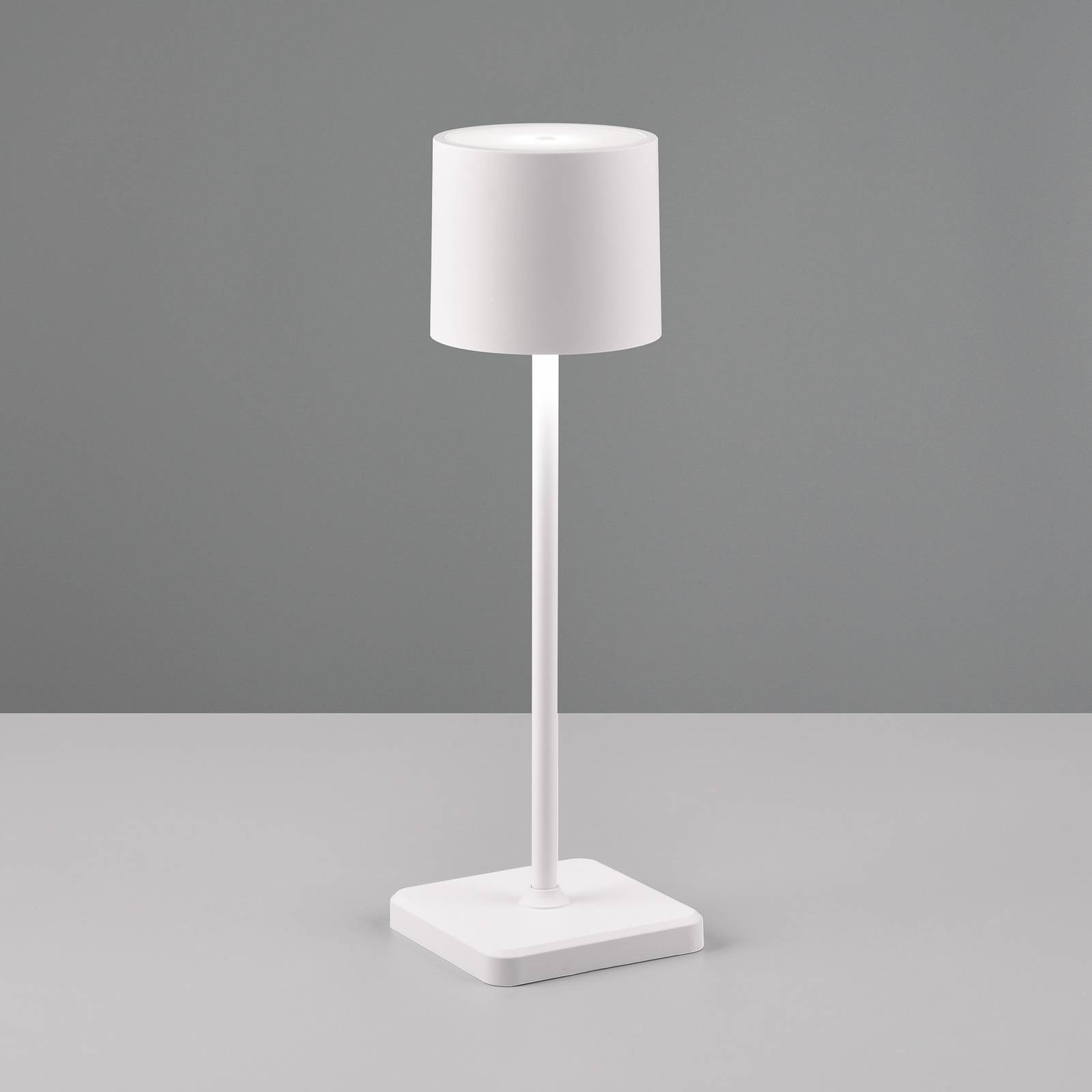 Reality Leuchten LED-bordslampa Fernandez, dimmer och CCT vit dimbar, Vitt / opal, Syntetmaterial