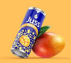 Frugt Drik Med Mango Stykker Juss Pulpy 250ml