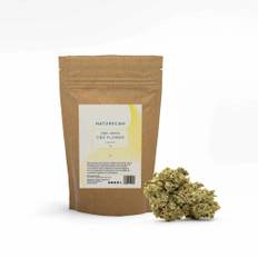 CBD Buds - Obi Wan