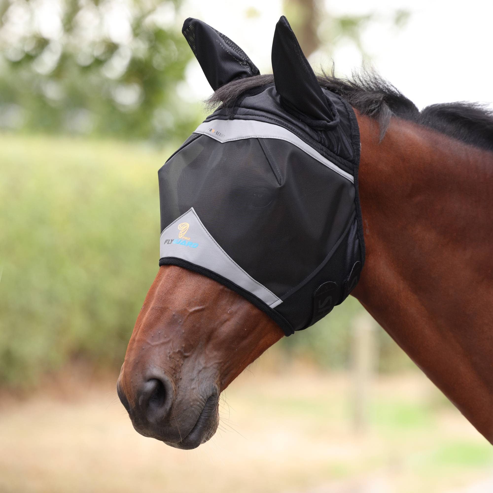 Flughuva Open Forelock - Jet Black, Shires