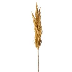 Pampas