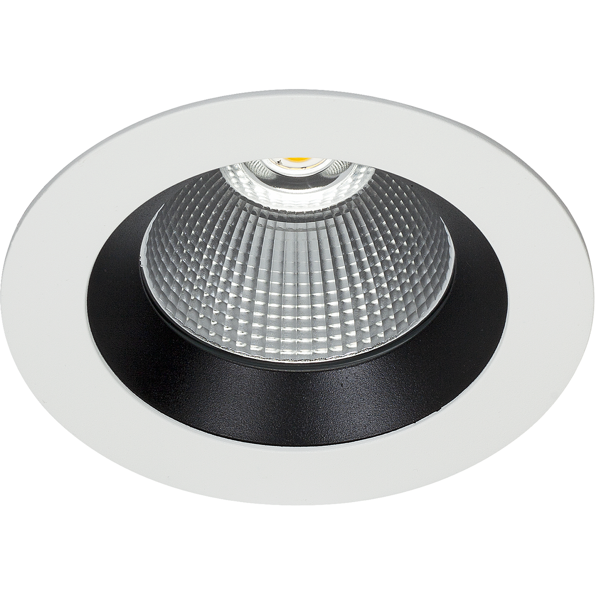 Easyform Silver Downlight standard 20W