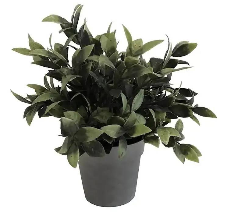 Kirsebærlaurbær i potte, 21cm, kunstige planter.