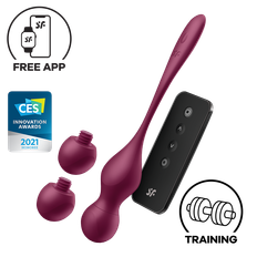 Satisfyer Love Birds Vary Connect App