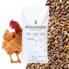 Brogaarden Hønsekorn - Byg, Hvede & Majs - 18 kg