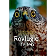 Rovfugle i felten