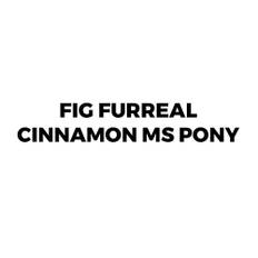 Game Furreal Cinnamon My Stylin' Pony