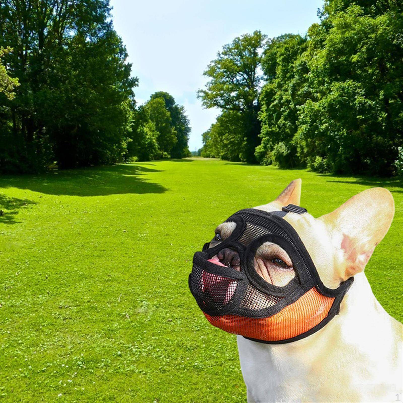 Justerbar Hund Munskydd för Tuggande och Pälsvård