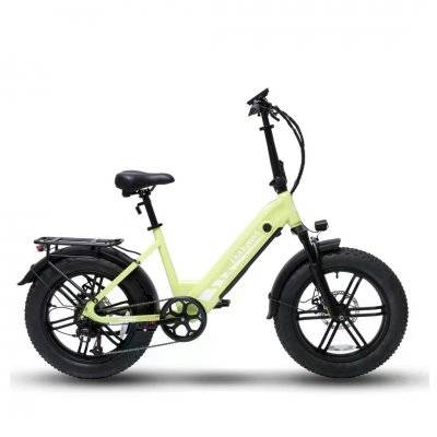 Elcykel Bodywel F20 Pro (GulGrön)
