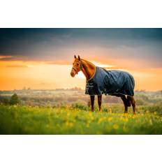 Horseware Amigo Ripstop 900D Turnout 0g Light Hästtäcke - Witney Navy (145cm (6'6"))