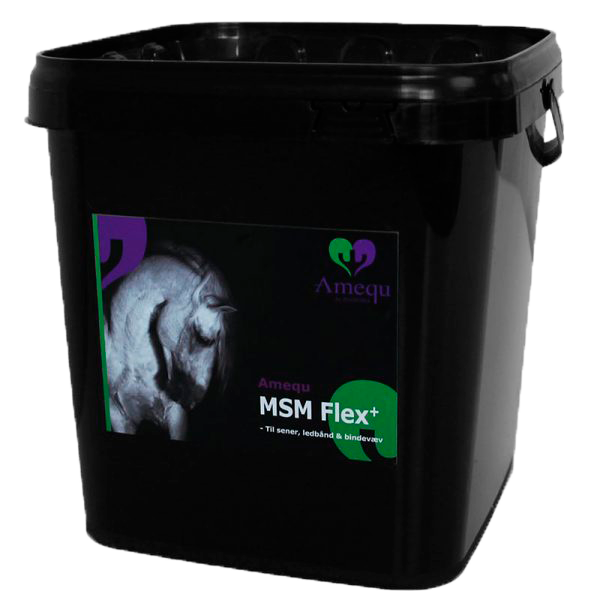 Amequ by Dangro MSM Flex+ - 2 kg..
