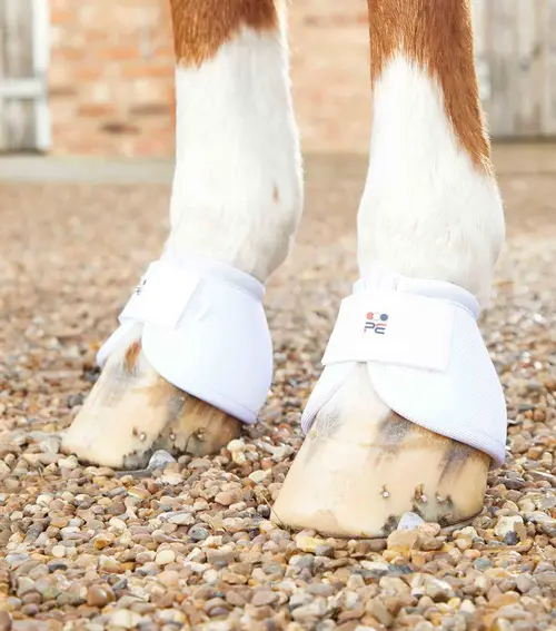 Premier Equine Ballistic No-Turn klokker - Hvid