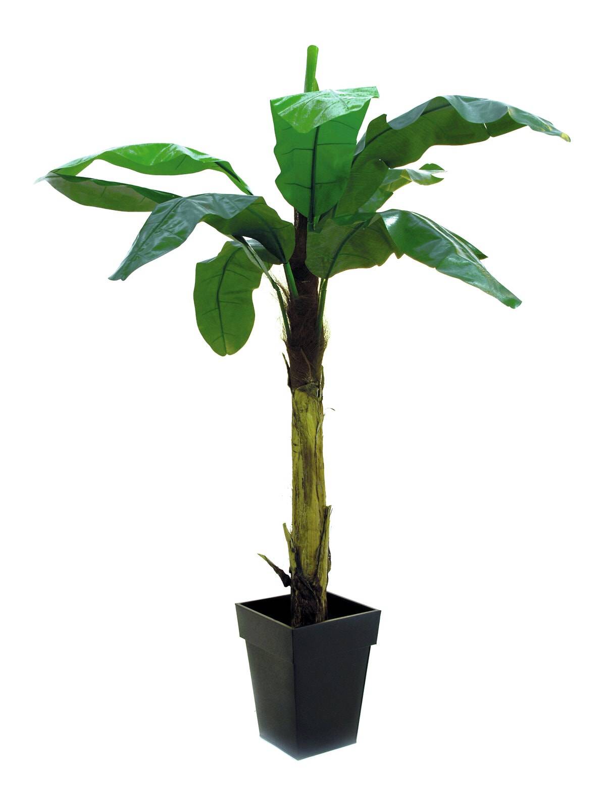 EUROPALMS Bananträd, artificial, FYNDHÖRNAN, 220cm, Europalms Bananträd, 220cm