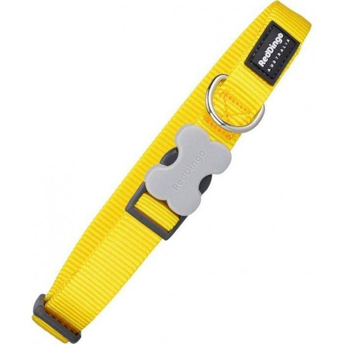 Dog Collar - RED DINGO - Smooth - Durable Acetal - Stainless Steel D-ring - Multicolor