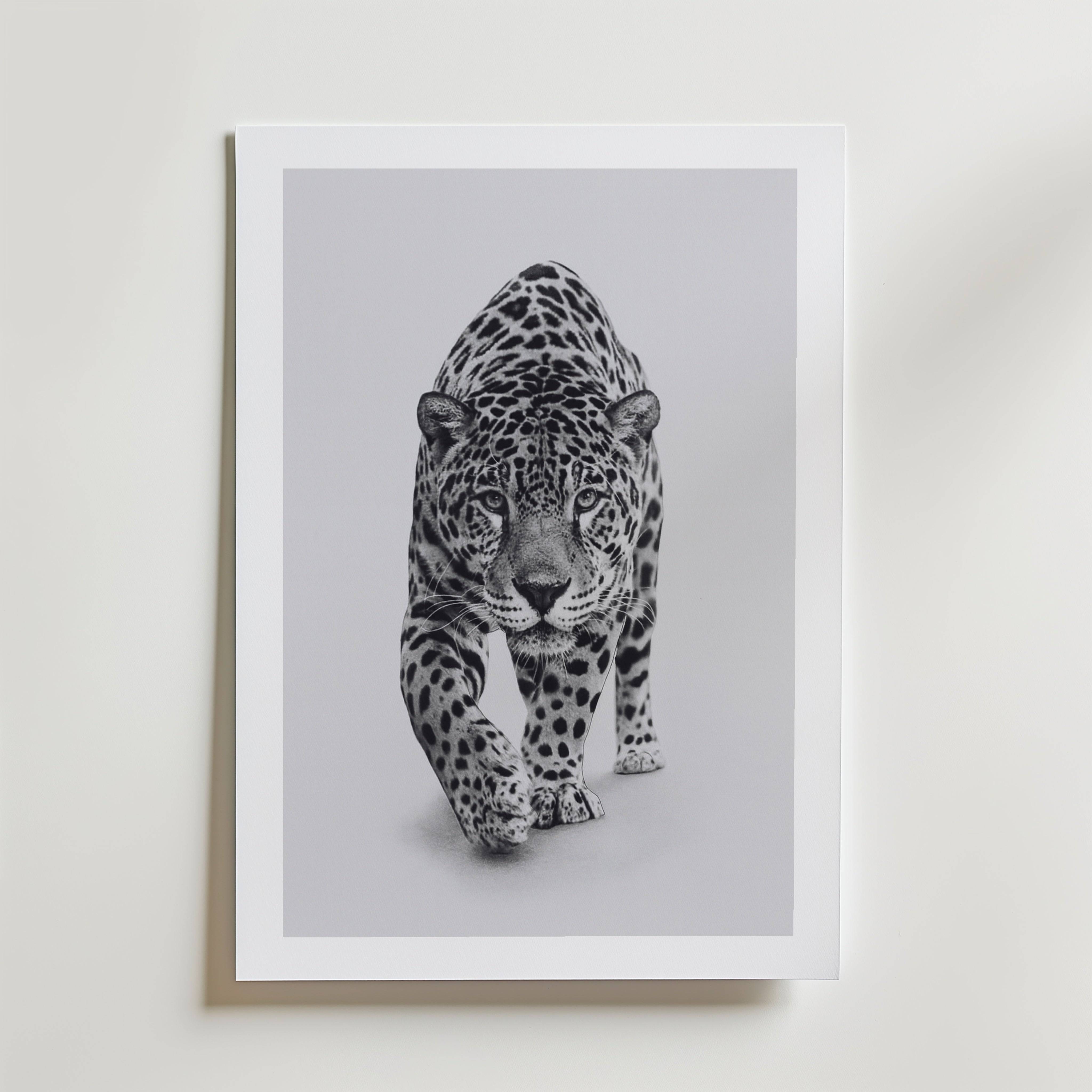 Prowling Jaguar Poster - Premium Canvas 100x140 cm Med passepartout