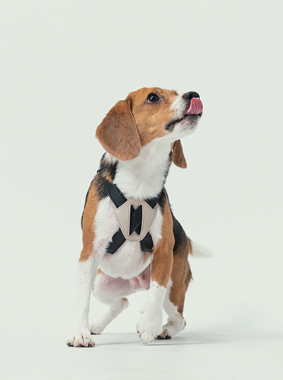 Black & Beige Slow Pressure Dog Harness | Shock Absorbing Foam | PEHOM - L (L)