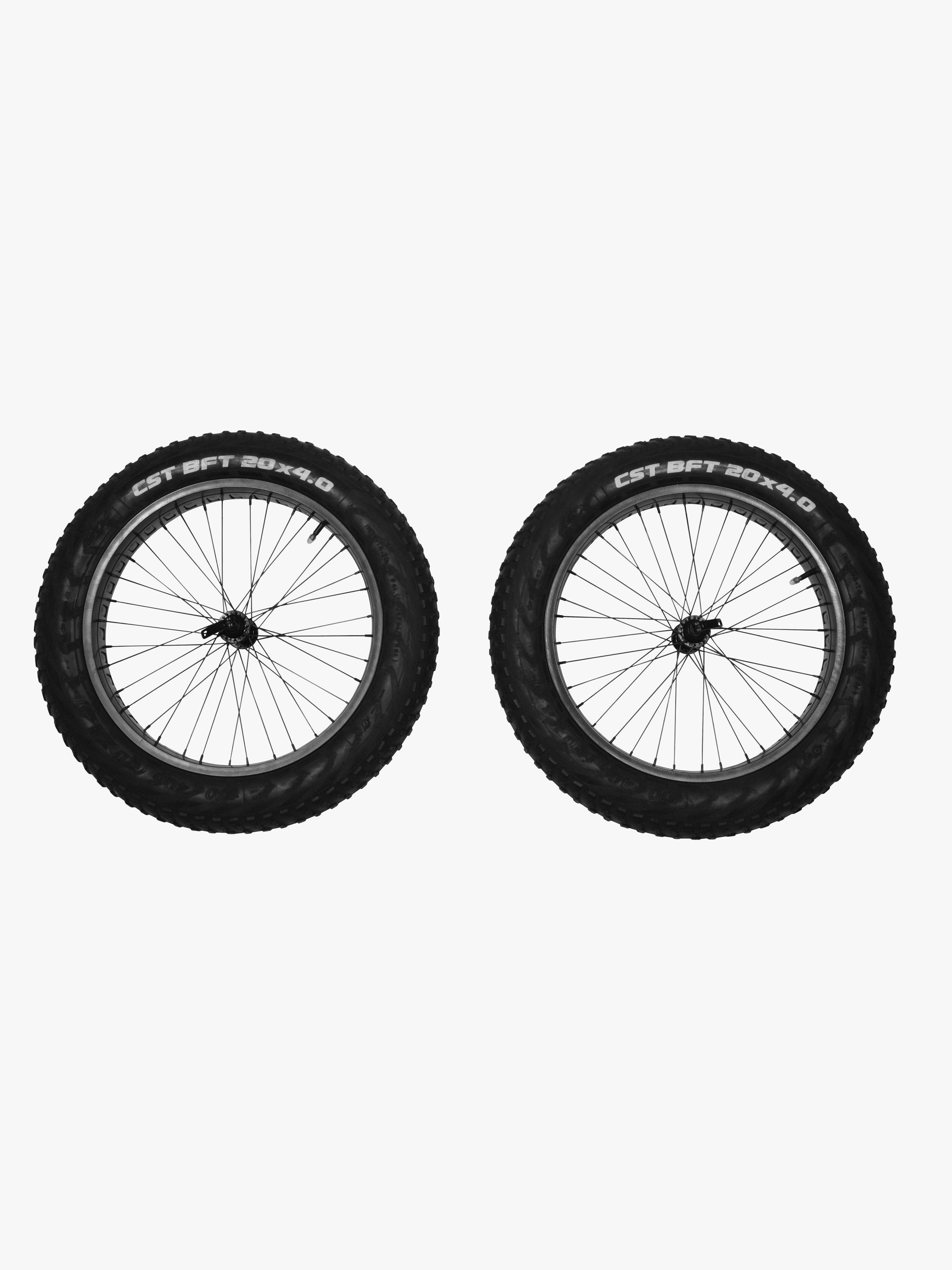 Thule Reacha 20" Terränghjulset