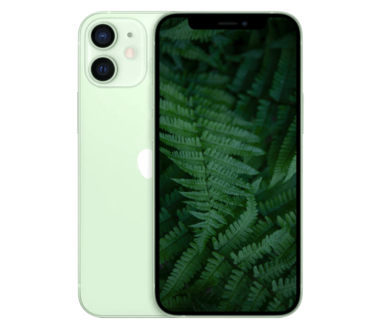 iPhone 12 Mini