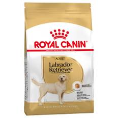 Royal Canin Labrador Retriever Adult - Økonomipakke: 2 x 12 kg