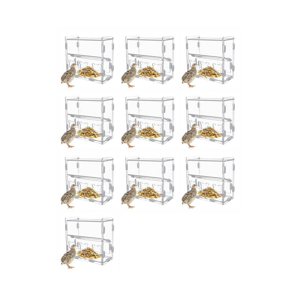10X Feeder Box Acrylic Feeding Container No-Mess Multihole Food Box Clear Bird Food Dispenser Box
