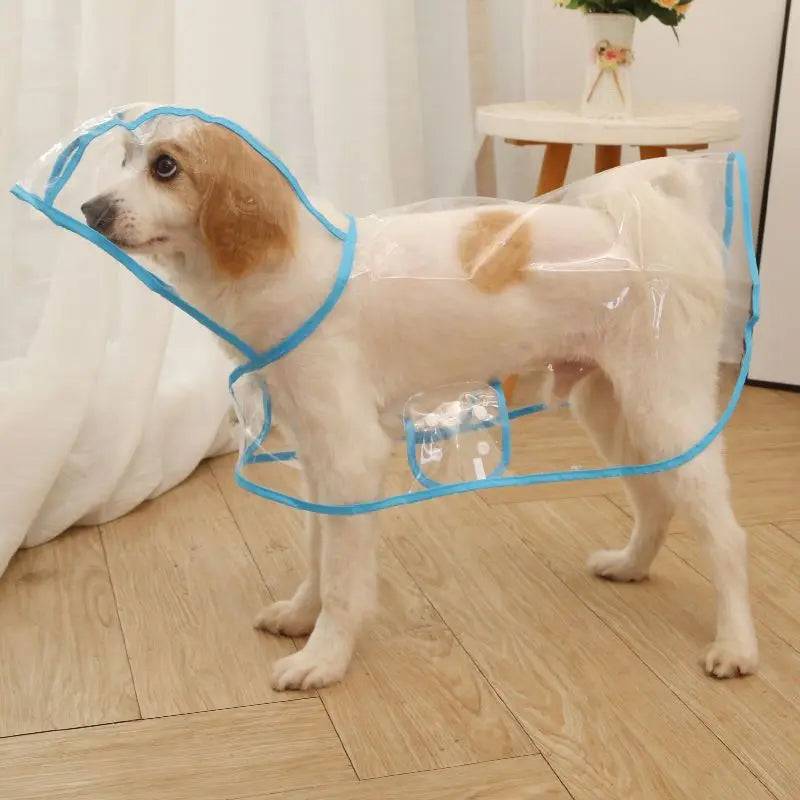 Transparent Waterproof Raincoat for Small & Medium Dogs - Blue / L-suit 3-4.5kg / SPC (L-suit 3-4.5kg)