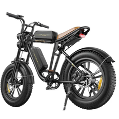 ENGWE M20 dobbelt batteri