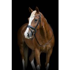 HorseGuard Cryll 25.2 Trense med Pullback Næsebånd - Sort