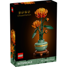 Chrysanthemum 10368