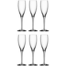 Orrefors - More Champagneglas 18 Cl 6-pack - Klar