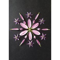 Postkort - Natur Mandala