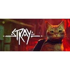 Stray PS4/PS5 EUROPE