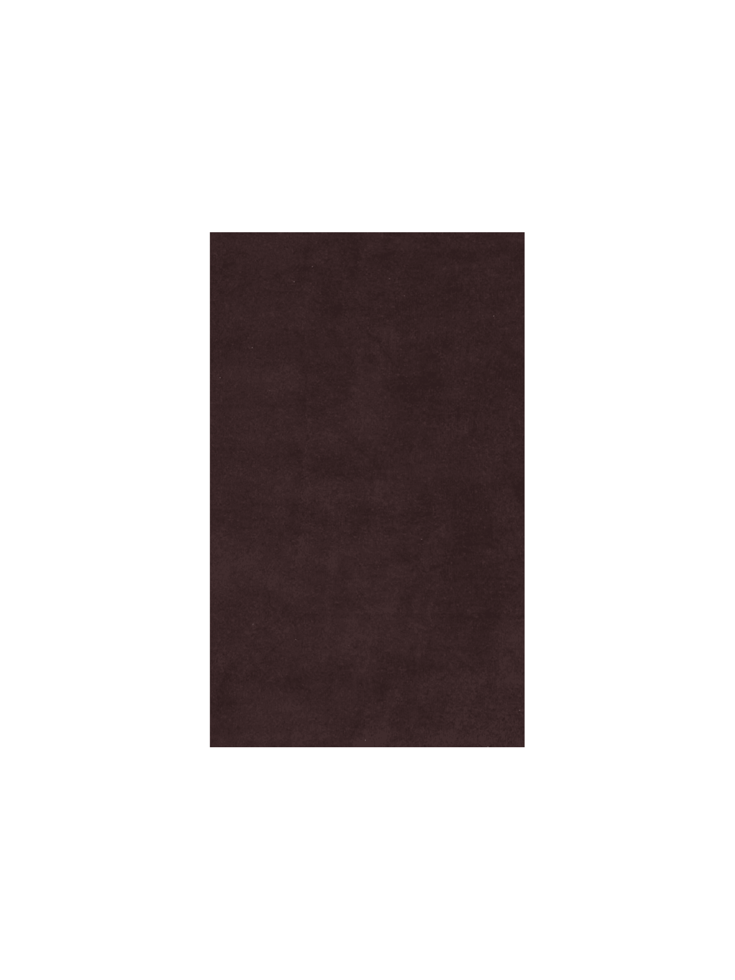 Rug Sample - Stille Tufted - Dark Pecan