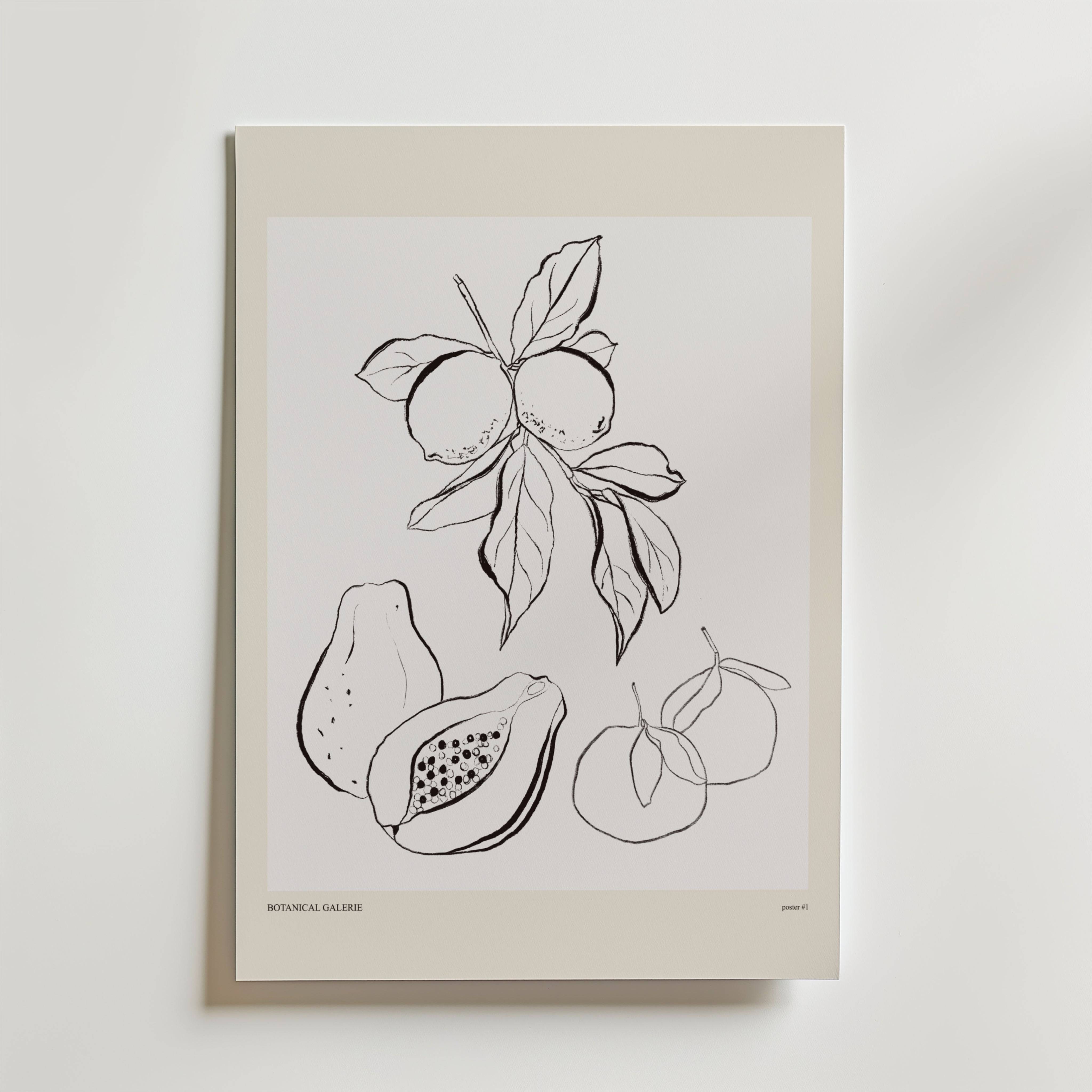 The Shape Of Plenty Poster - Premium Canvas 40x50 cm
