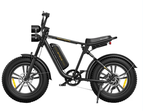 ENGWE M20.