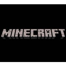 Minecraft PS5 Account