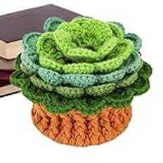 Aesthetic Desk Cup Coaster, Crochet Kit for Beginners, Beginner Crochet Kits, Yarn and Crochet Hooks, Drink Coasters for New Home, Cute Cup Coasters 8.66x3.54x4.72 inches for Desks