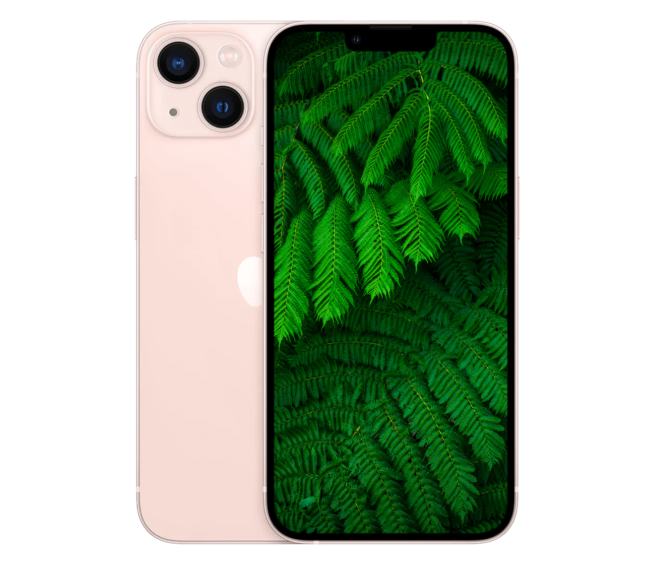 iPhone 13