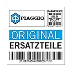 Piaggio Styrskena 6120287Z02000
