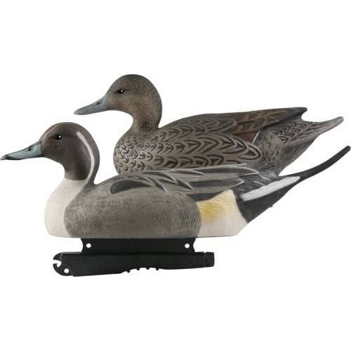 Spidsænder GreenHead