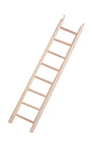 Stor stege till småfåglar
