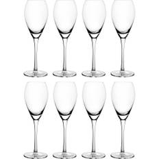 Champagneglas 16 cl, 8-pack - Klar