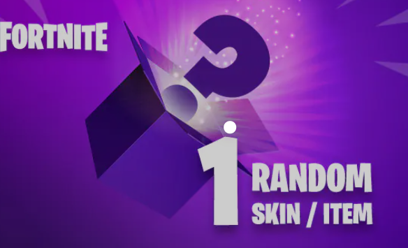 Random FORTNITE SKIN ITEM (PC) - Standard