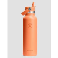 Hydro Flask 21 Oz Standard Flex Straw Cap - nectar orange - Uni