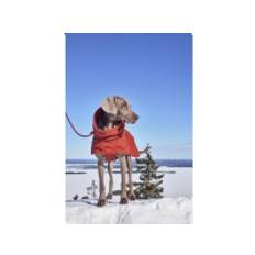 Hurtta Hurtta Extreme Warmer III ECO, cinnamon 30